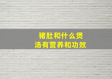 猪肚和什么煲汤有营养和功效