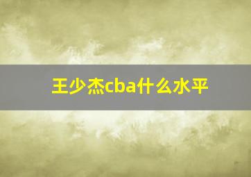 王少杰cba什么水平