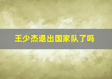 王少杰退出国家队了吗