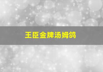 王臣金牌汤姆鸽