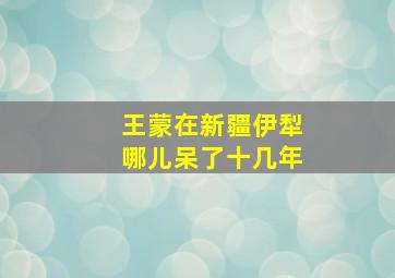 王蒙在新疆伊犁哪儿呆了十几年