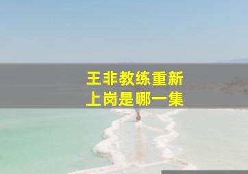 王非教练重新上岗是哪一集