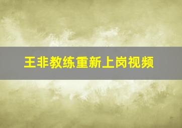 王非教练重新上岗视频