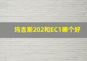 玛吉斯202和EC1哪个好