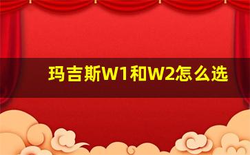 玛吉斯W1和W2怎么选