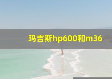 玛吉斯hp600和m36