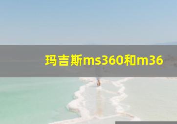 玛吉斯ms360和m36