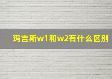 玛吉斯w1和w2有什么区别