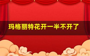 玛格丽特花开一半不开了