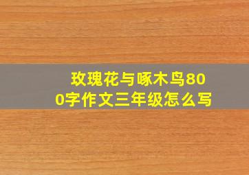 玫瑰花与啄木鸟800字作文三年级怎么写