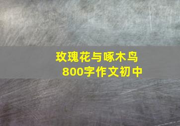 玫瑰花与啄木鸟800字作文初中