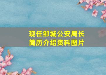 现任邹城公安局长简历介绍资料图片