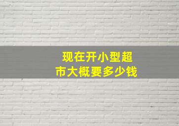 现在开小型超市大概要多少钱