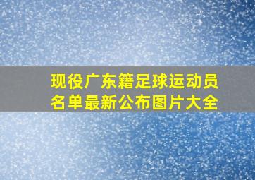 现役广东籍足球运动员名单最新公布图片大全