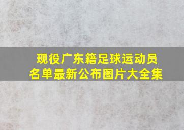 现役广东籍足球运动员名单最新公布图片大全集