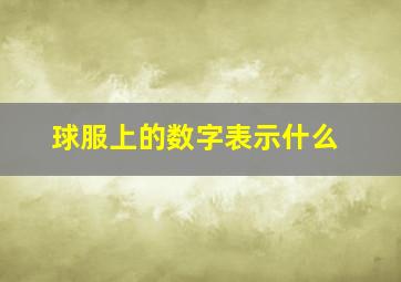 球服上的数字表示什么