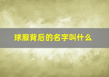 球服背后的名字叫什么