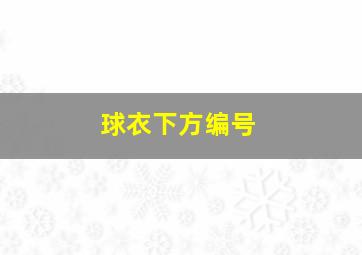 球衣下方编号