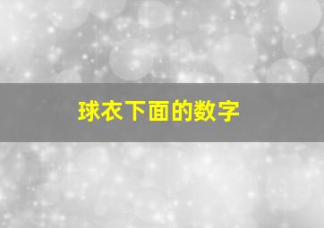 球衣下面的数字