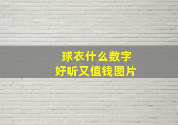 球衣什么数字好听又值钱图片