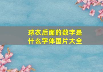 球衣后面的数字是什么字体图片大全