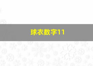 球衣数字11