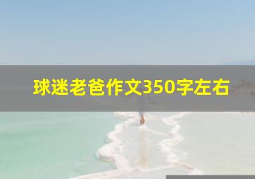 球迷老爸作文350字左右