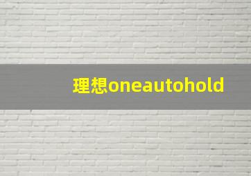 理想oneautohold