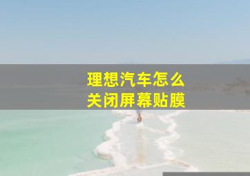 理想汽车怎么关闭屏幕贴膜