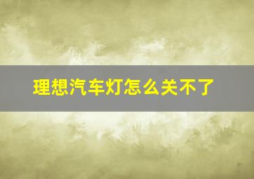 理想汽车灯怎么关不了