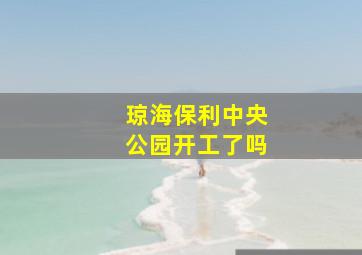 琼海保利中央公园开工了吗