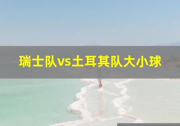 瑞士队vs土耳其队大小球