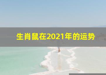 生肖鼠在2021年的运势