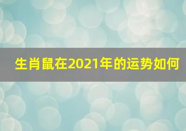 生肖鼠在2021年的运势如何