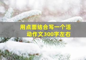 用点面结合写一个活动作文300字左右