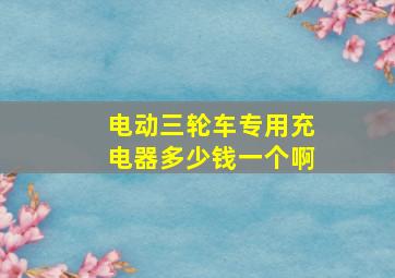 电动三轮车专用充电器多少钱一个啊