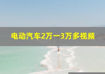 电动汽车2万一3万多视频