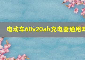 电动车60v20ah充电器通用吗