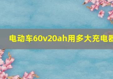 电动车60v20ah用多大充电器