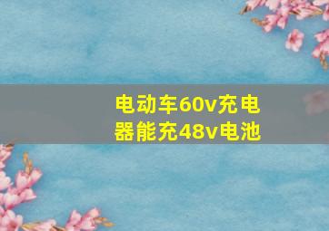 电动车60v充电器能充48v电池