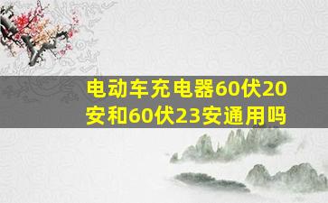 电动车充电器60伏20安和60伏23安通用吗