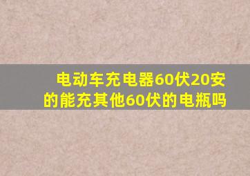 电动车充电器60伏20安的能充其他60伏的电瓶吗