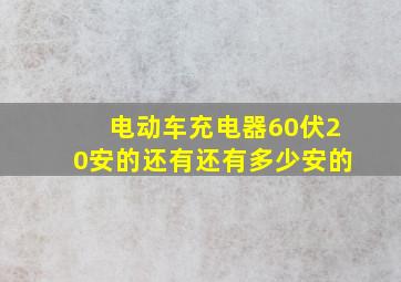 电动车充电器60伏20安的还有还有多少安的