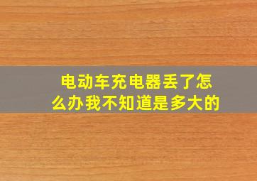 电动车充电器丢了怎么办我不知道是多大的