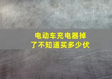 电动车充电器掉了不知道买多少伏