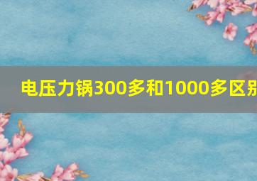 电压力锅300多和1000多区别