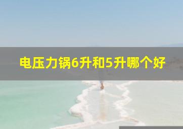 电压力锅6升和5升哪个好