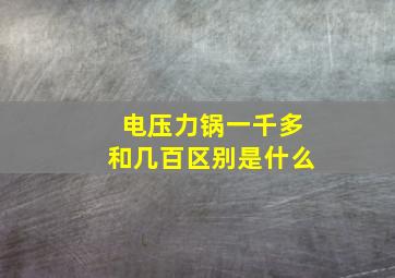 电压力锅一千多和几百区别是什么