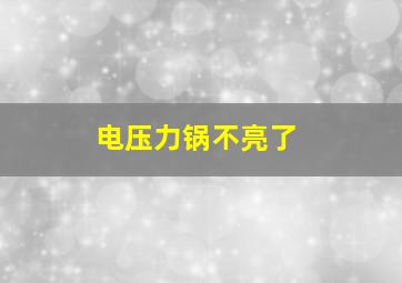 电压力锅不亮了