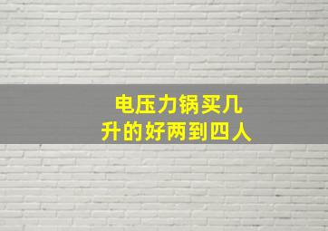 电压力锅买几升的好两到四人